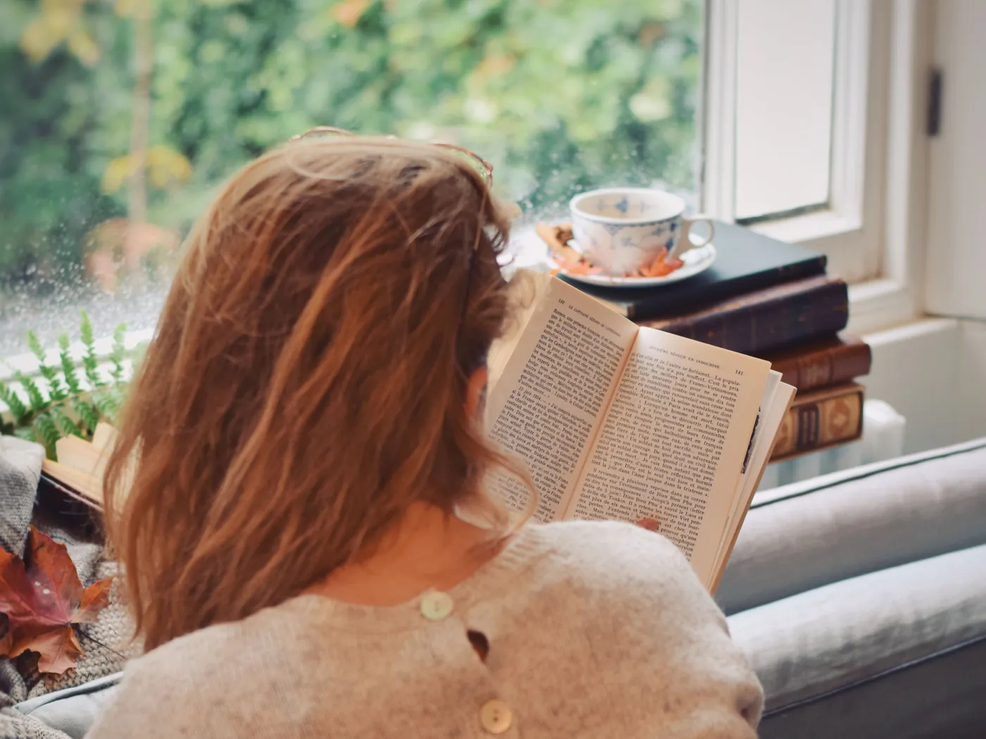 A person reading beside a sunlit window.